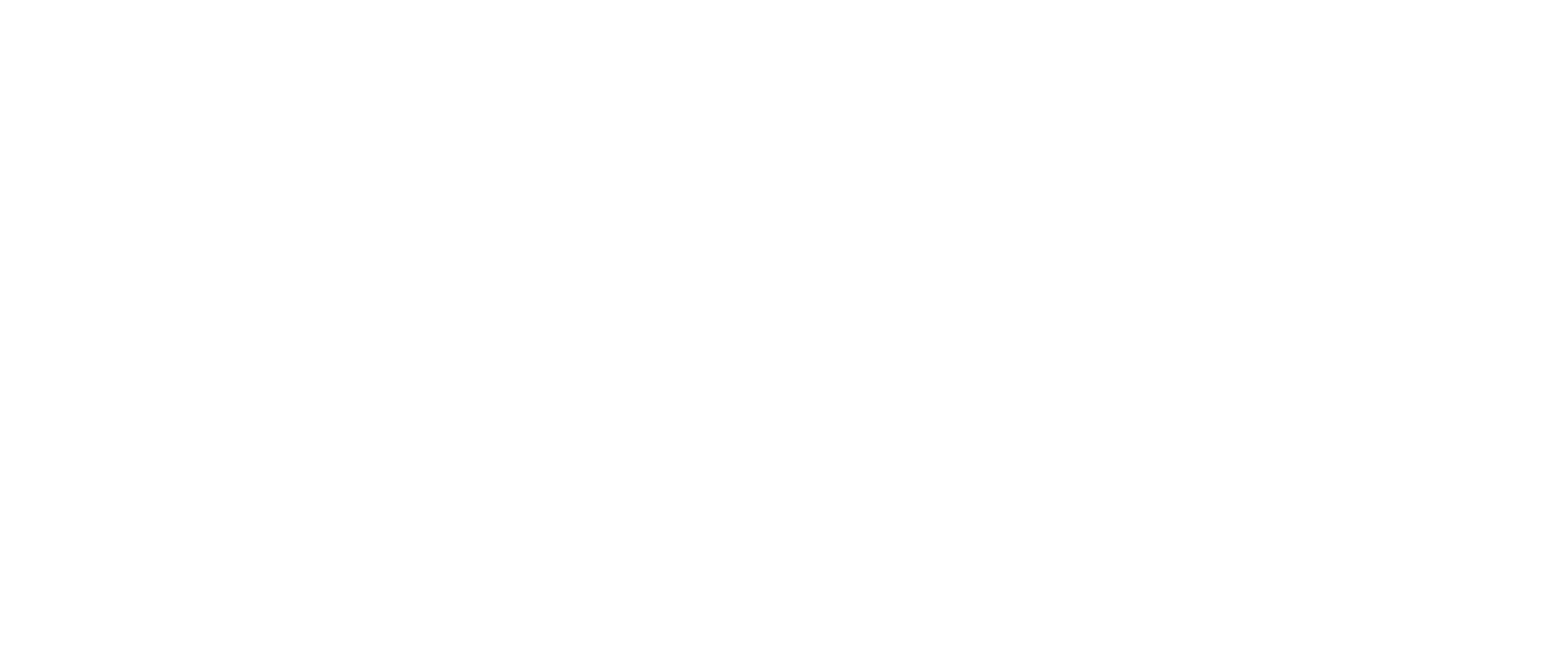 shiro-schrift-logo-no-bg